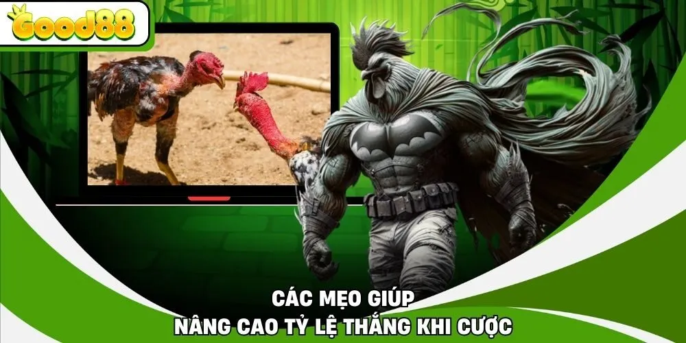 Các mẹo giúp nâng cao tỷ lệ thắng khi cược