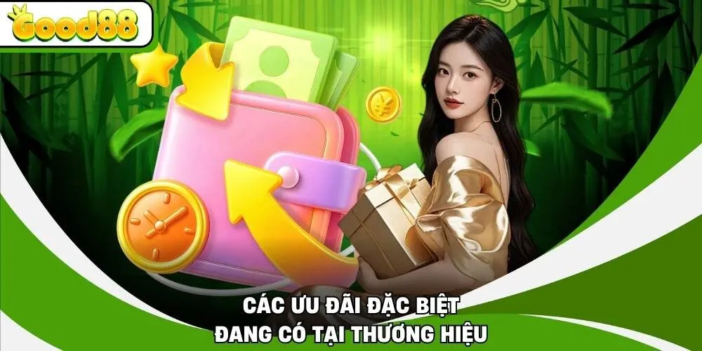 Các ưu đãi đặc biệt đang có tại thương hiệu