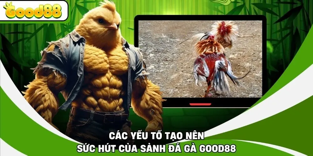 Các yếu tố tạo nên sức hút của sảnh đá gà Good88