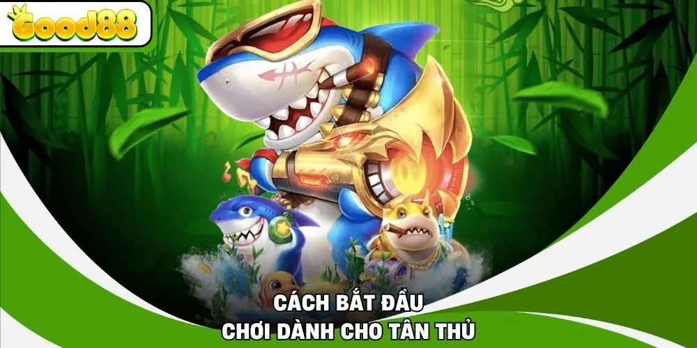 Cách bắt đầu chơi dành cho tân thủ