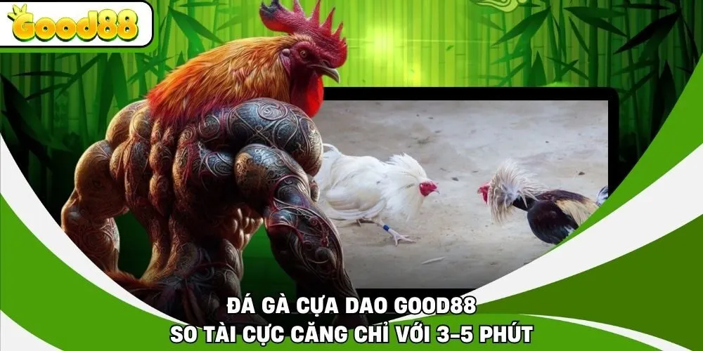 Đá Gà Cựa Dao Good88 - So Tài Cực Căng Chỉ Với 3-5 Phút