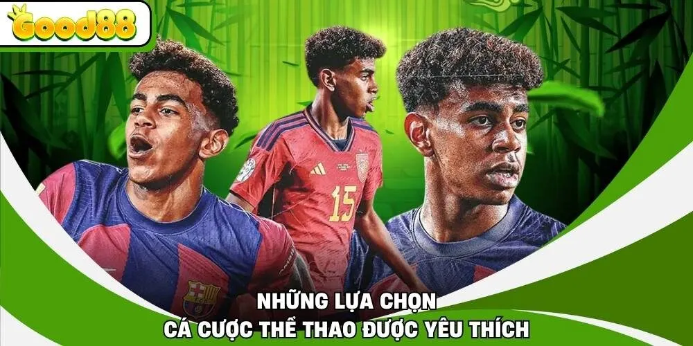 Những lựa chọn cá cược thể thao được yêu thích